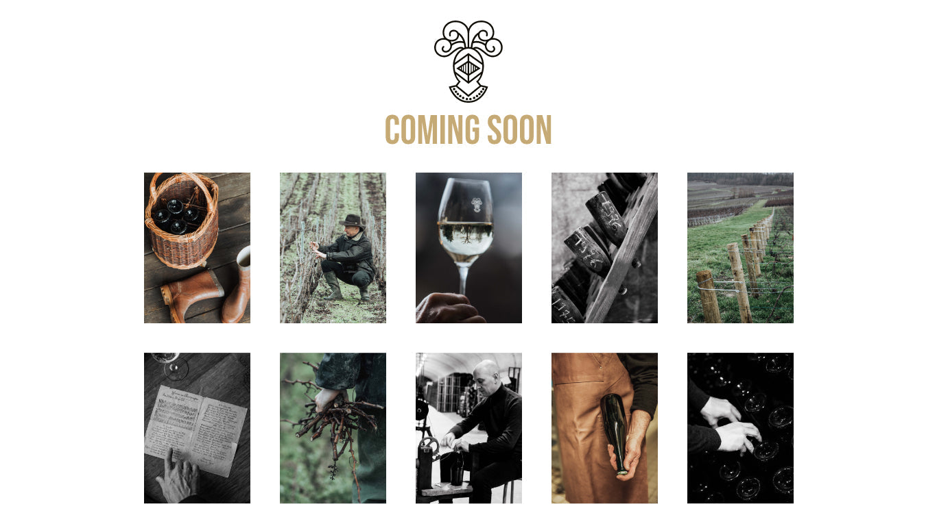 EN Development Champagne Telmont